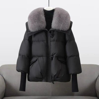 Valine | Stylish Jacket