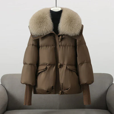 Valine | Stylish Jacket